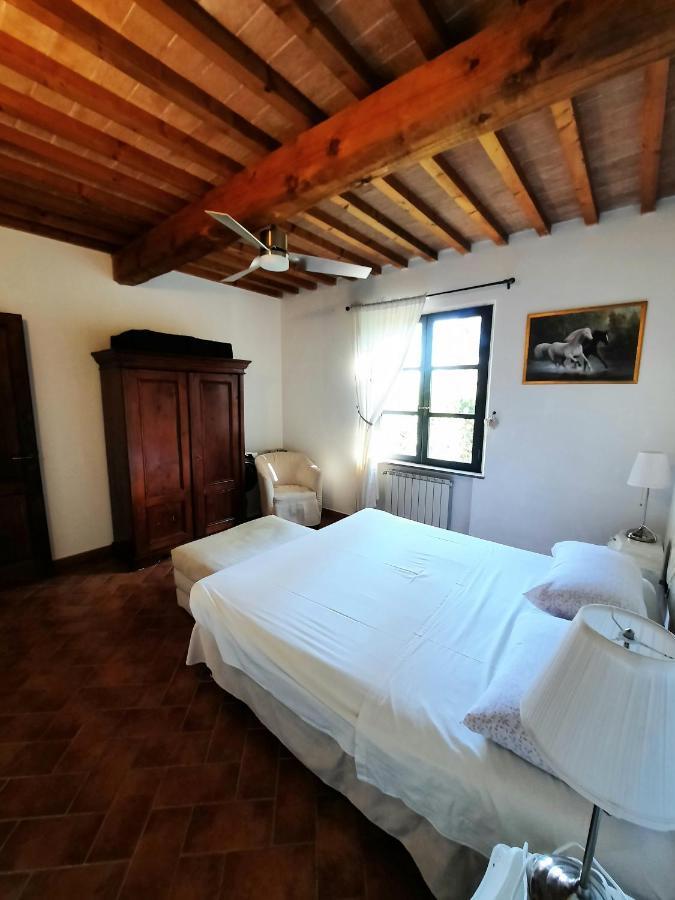 Il Casolare Val Di Mare Apartment Riparbella Exterior foto